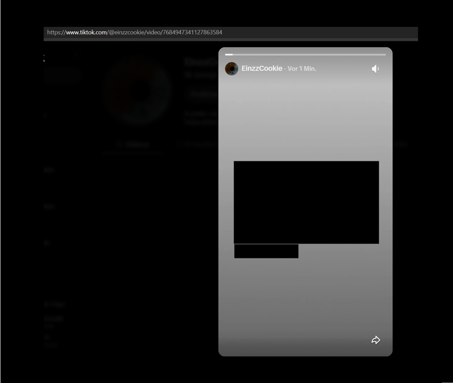 TikTok Story Preview Interface Rendering Media Asset