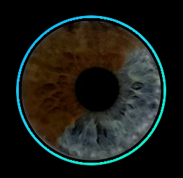 TikTok Profile Avatar Showing Active Story Circle Indicator